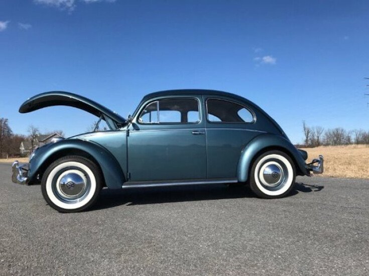 Photo for 1958 Volkswagen Beetle